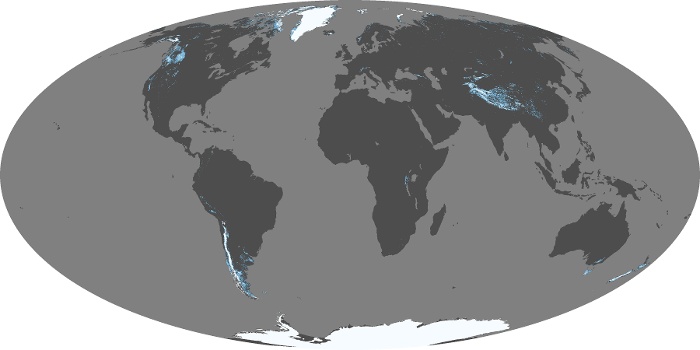 Global Map Snow Cover Image 209