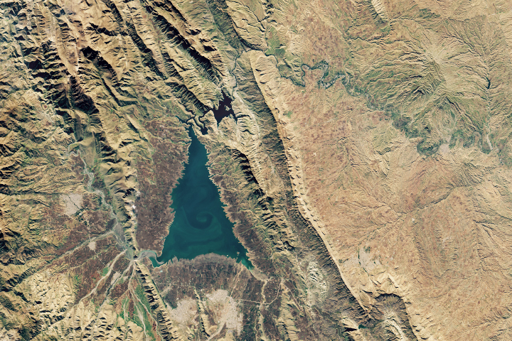 O Christmas Tree! from Space