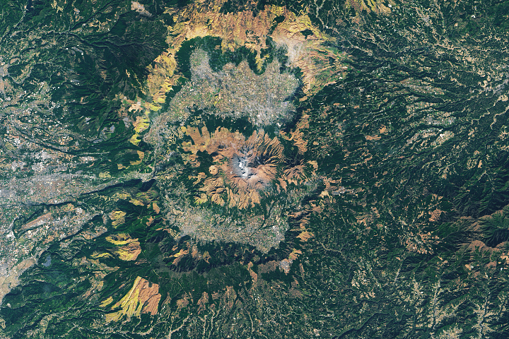 Leaf Hunting in Japan