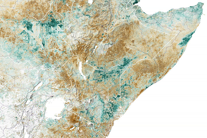 Failed Rainy Seasons Create Food Emergency in Eastern Africa
