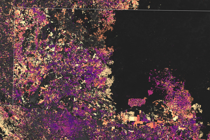 The Shrinking Selva Maya