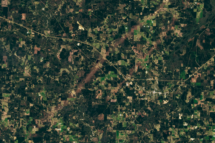 Tornadoes Rip Through Mississippi 