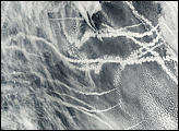 Ship Tracks in the Northern Pacific