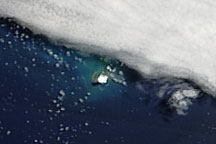 Submarine Eruption in the Tonga Islands