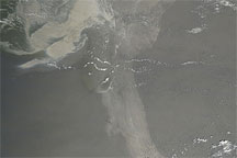 Oil Slick in the Gulf of Mexico
