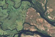 Zambezi Flood Plain, Namibia