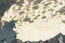 Brazilian Dune Fields