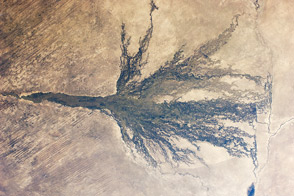 Okavango Swamp, Botswana