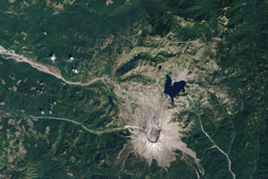 Life Reclaims Mount St. Helens