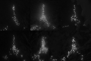 Something Fishy in the Deep, Dark Ocean