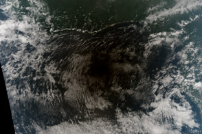 Hybrid Eclipse Shades Africa