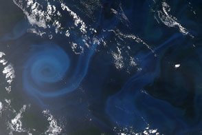 Spiral of Plankton