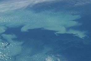 Bloom in the Bering Sea
