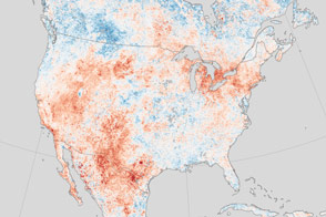 Extreme Heat for an Extreme Year