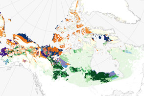 Where Are Arctic Soils Defrosting?