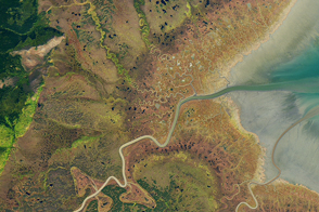 Russia’s Bay of Whales
